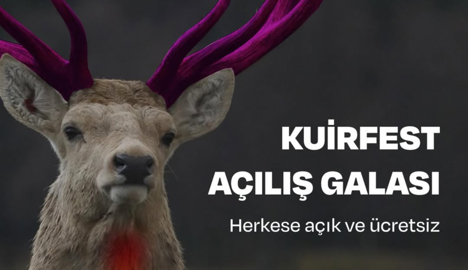 14. Pembe Hayat KuirFest’in açılış galası yarın! | Kaos GL - LGBTİ+ Haber Portalı Haber