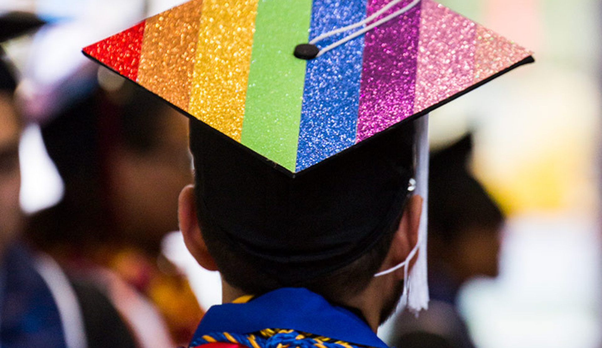 2025, üniversitelerde "soruşturma yılı" oldu: LGBTİ+ öğrencilere 223 hak ihlali Kaos GL - LGBTİ+ Haber Portalı