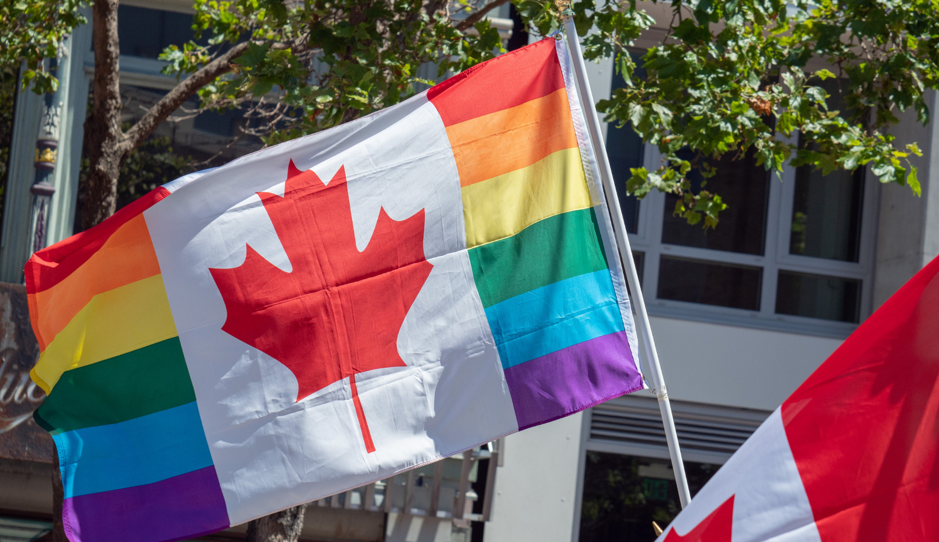 ABD’de yaşayan LGBTİ+’lar Trump yönetiminden kaçmak için Kanada’ya taşınmayı düşünüyor | Kaos GL - LGBTİ+ Haber Portalı Haber