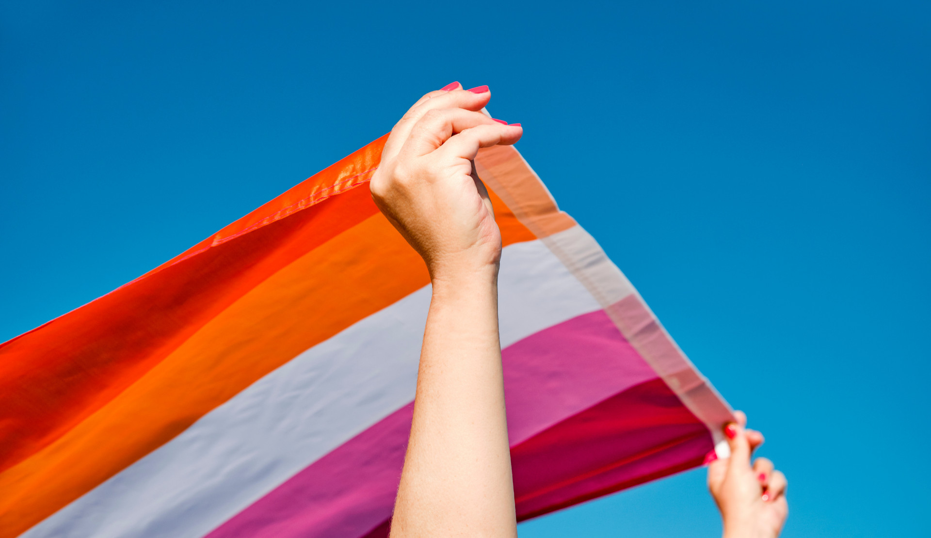 “Aile Yılı”na Lezbiyen* Manevra raporunun lansmanı 22 Nisan’da | Kaos GL - LGBTİ+ Haber Portalı Haber