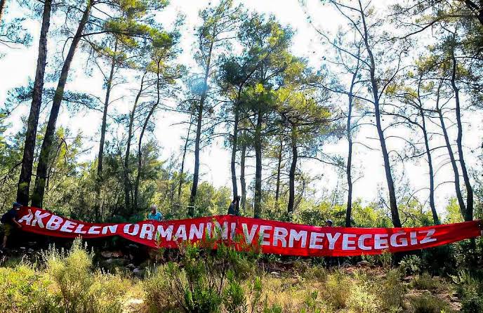 Akbelen Ormanı’nda talan sürerken queer ekolojiyi savunmak | Kaos GL - LGBTİ+ Haber Portalı Haber