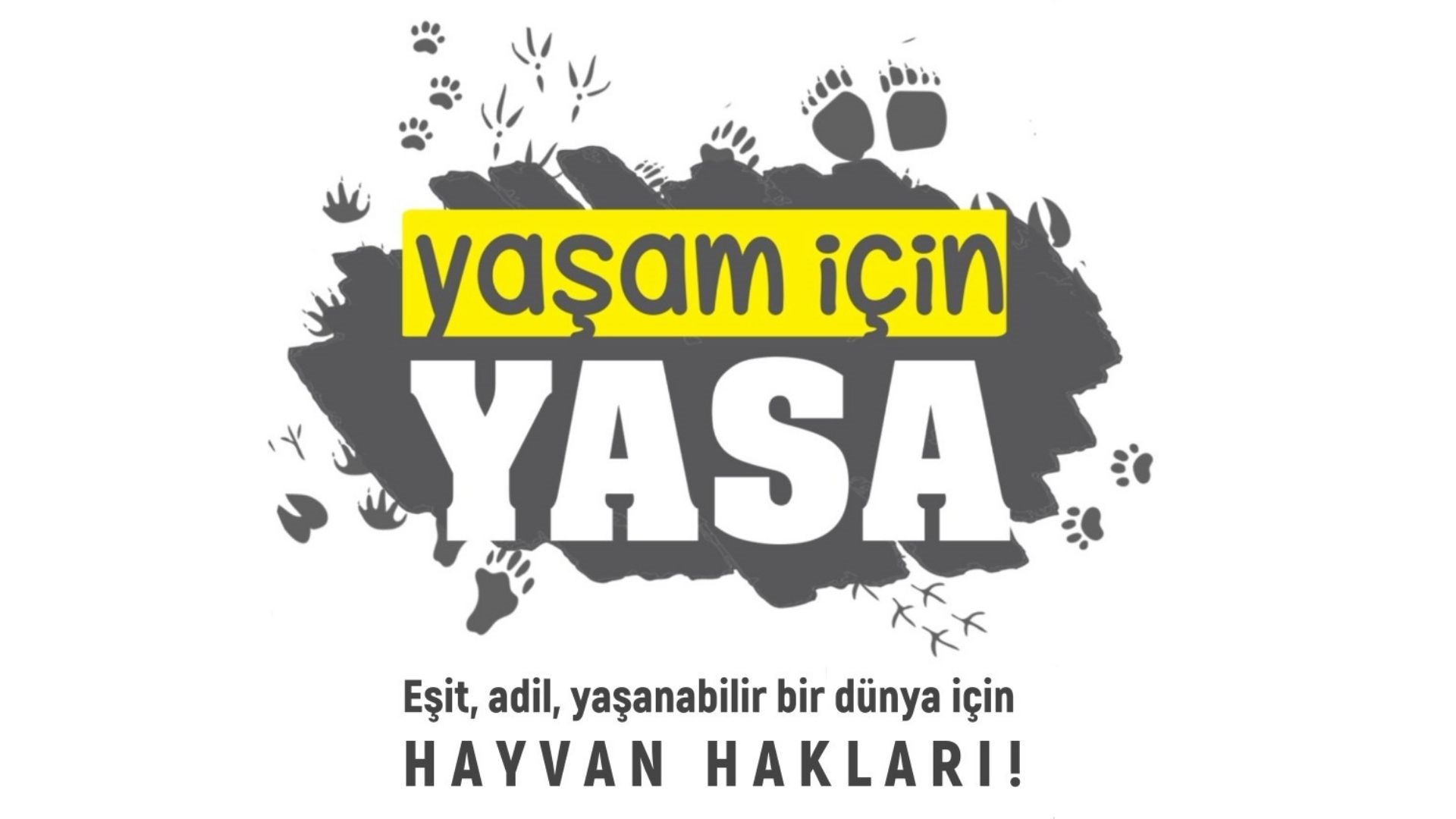 “Amacımız, hayvan, insan, işçi, kadın, çocuk, engelli, LGBTİ+’ların yaşam hakları ihlallerine karşı adalet söylemi geliştirmek” Kaos GL - LGBTİ+ Haber Portalı