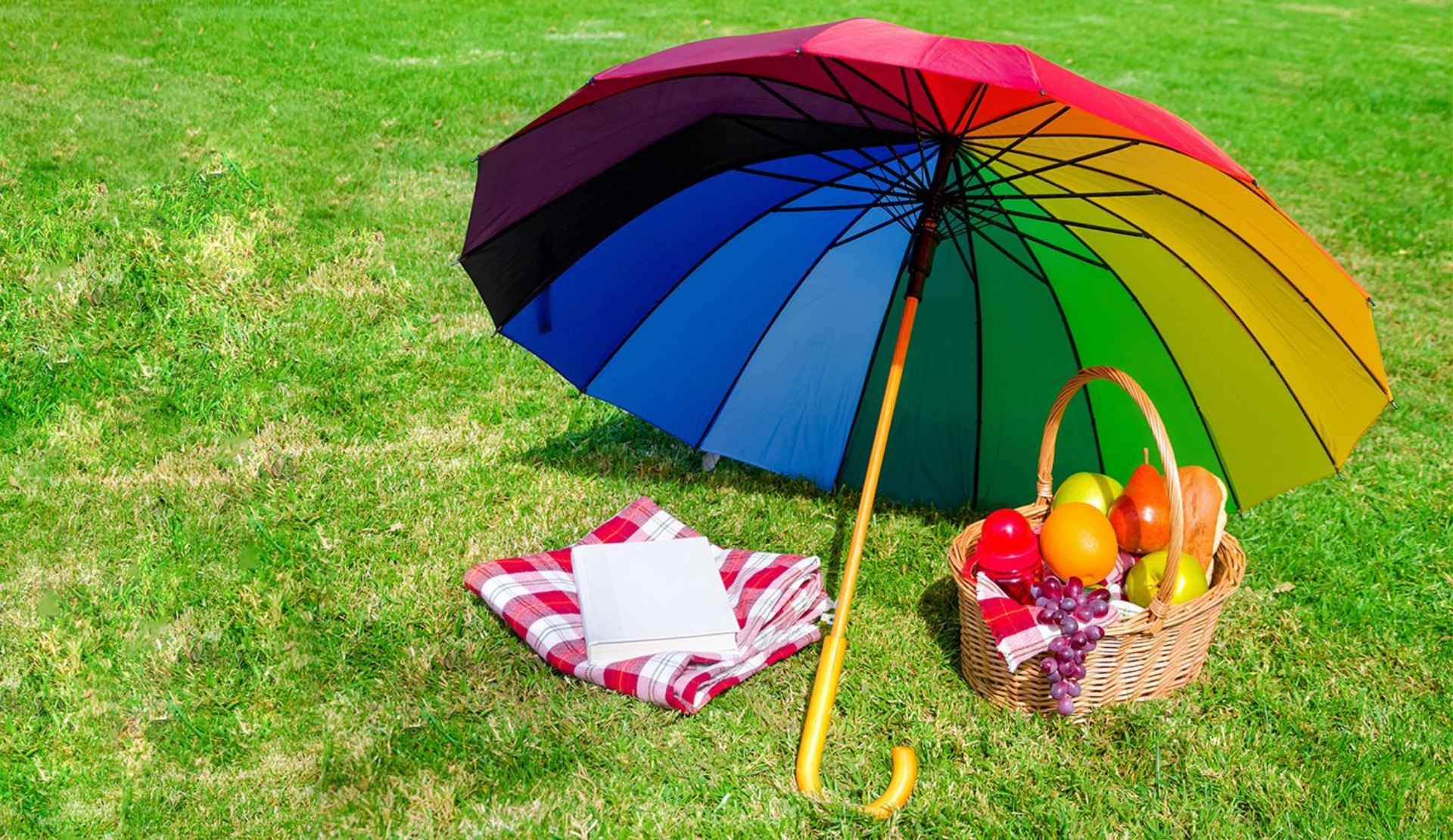 Ankara Pride’dan “Lubun Piknik” Kaos GL - LGBTİ+ Haber Portalı