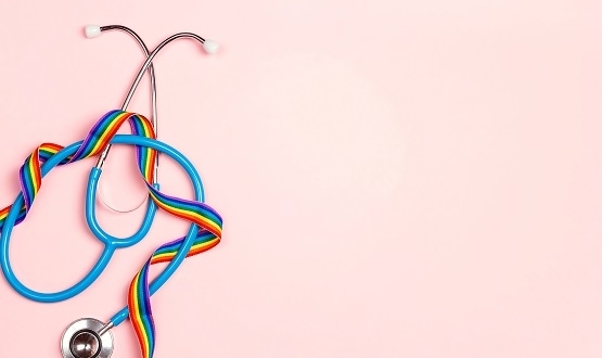 ATO LGBTİQ+ Çalışma Grubu’ndan “Mülteci ve Mahpus LGBTİQ+’ların Sağlık Hakkı Çalıştayı” | Kaos GL - LGBTİ+ Haber Portalı Haber