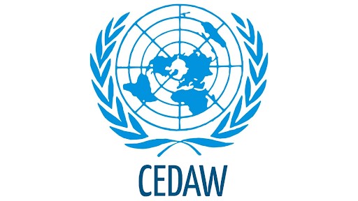 BM Kadına Karşı Ayrımcılığın Önlenmesi Komitesi’nden homofobik nefret suçu kararı | Kaos GL - LGBTİ+ Haber Portalı Haber