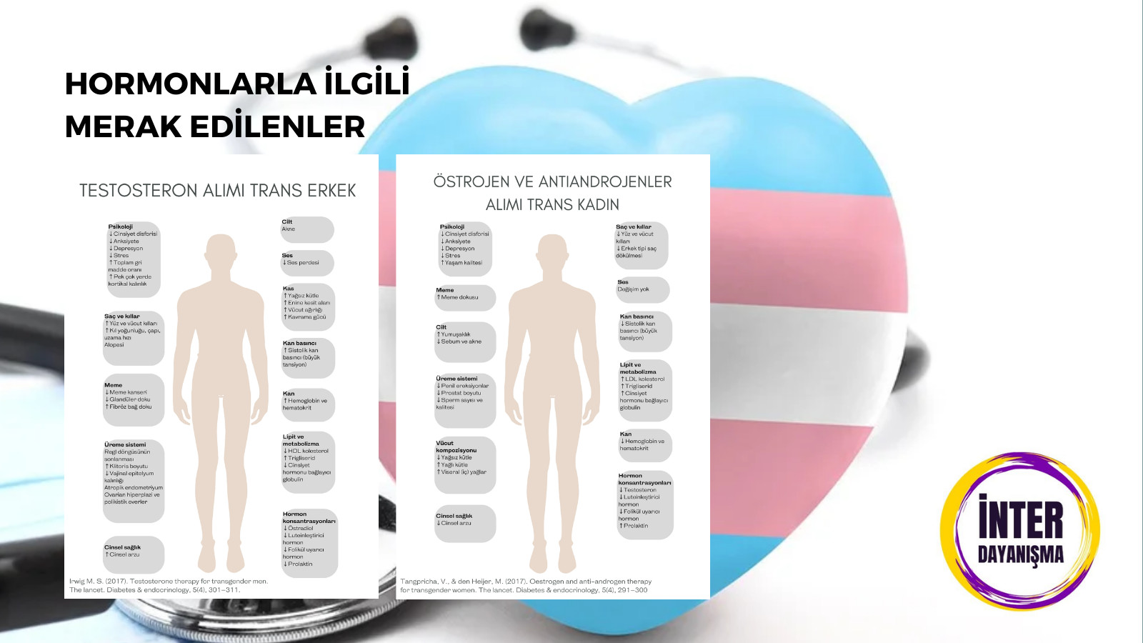 “Bu hormonlar birbirinin tamamen zıttı olarak düşünülmemeli” Kaos GL - LGBTİ+ Haber Portalı