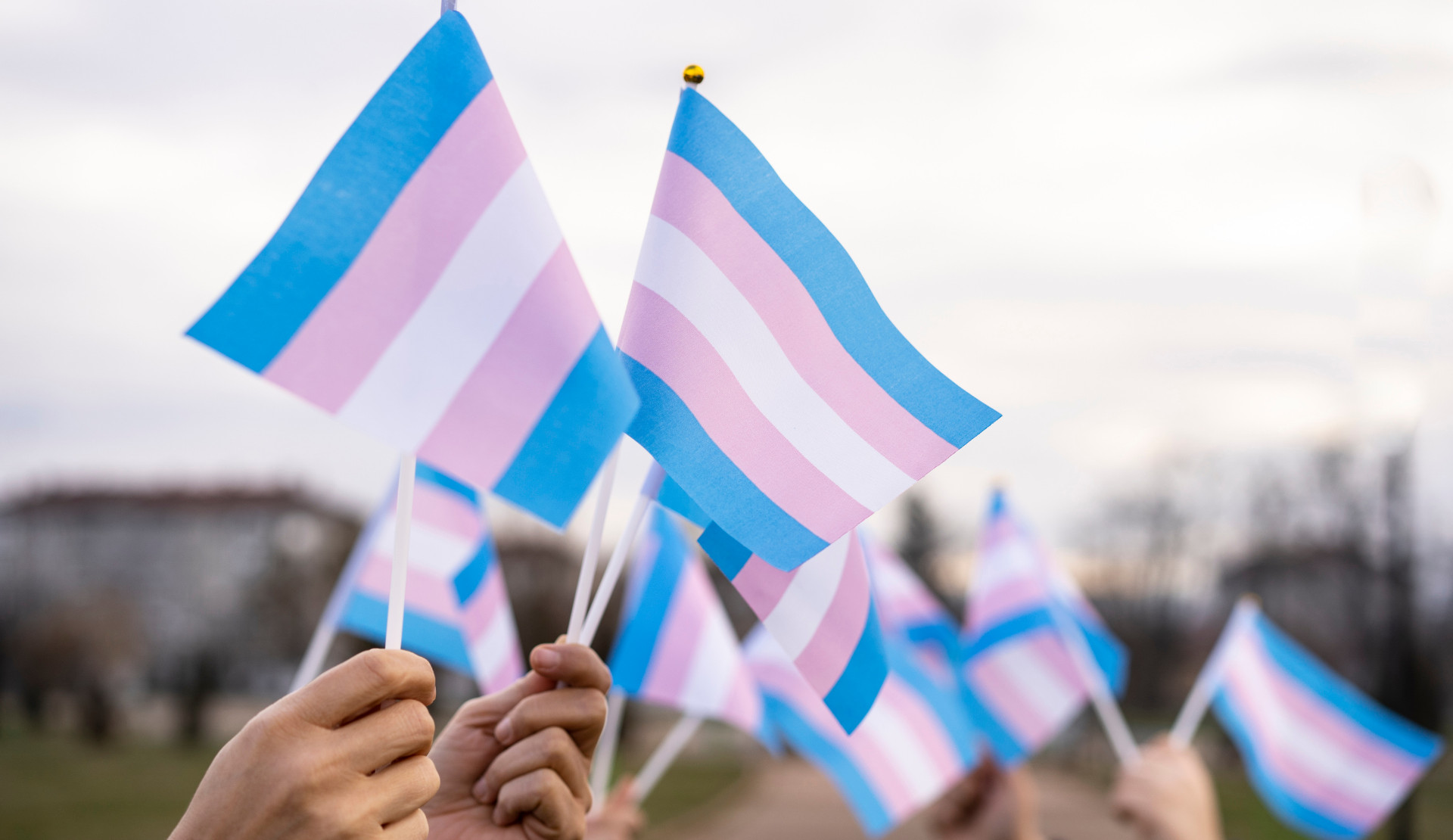 Call for action on November 20 from the Trans Pride Week Committee | Kaos GL - News Portal for LGBTI+ News
