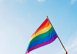 Canlı yayın: 30+ Lubunya! | Kaos GL - LGBTİ+ Haber Portalı Haber