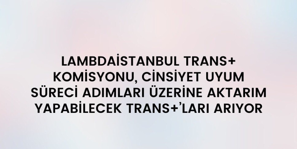 “Cinsiyet Uyum Kılavuzu” deneyim aktarımlarını bekliyor | Kaos GL - LGBTİ+ Haber Portalı Haber