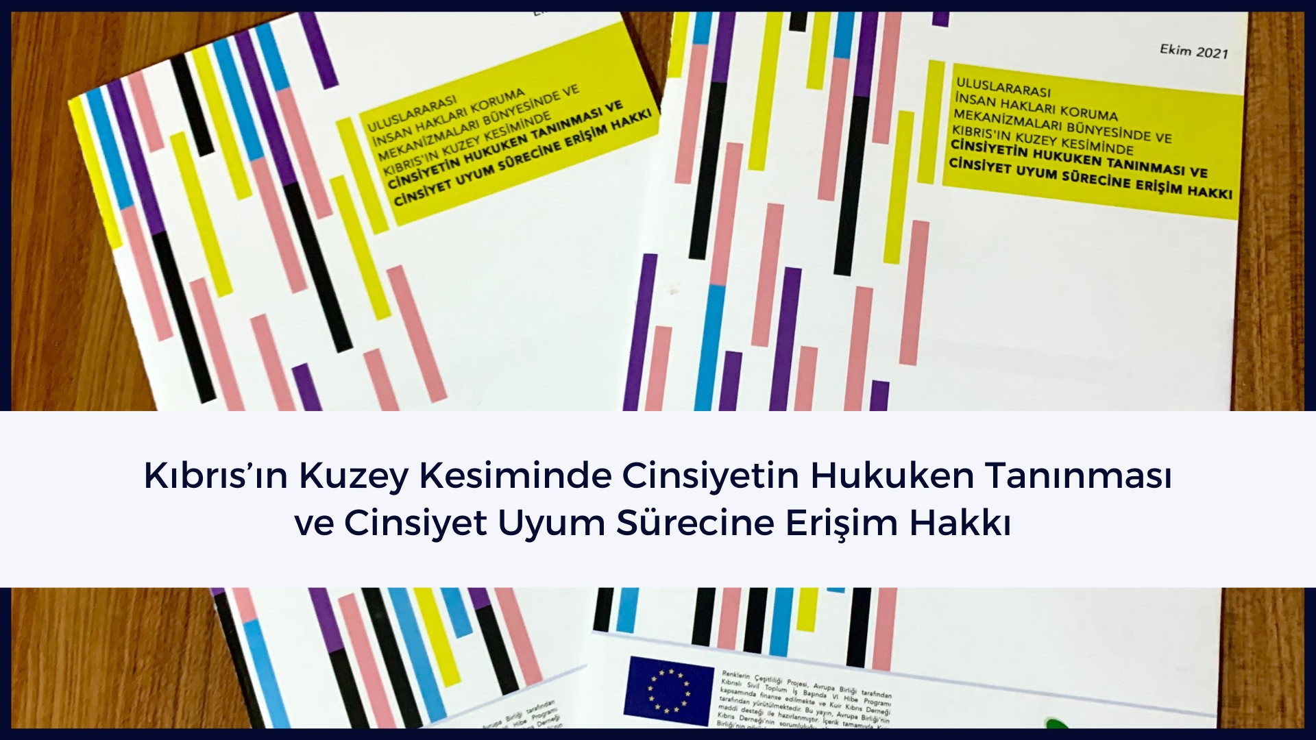 Cinsiyetin hukuken tanınmasında öz-belirlenim esas olmalı Kaos GL - LGBTİ+ Haber Portalı
