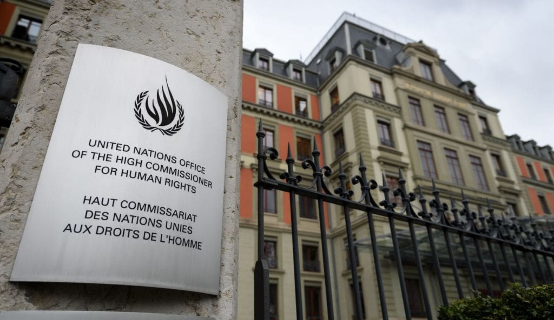 CİSÜ Platformu’ndan OHCHR’ye katkı: “Cinsel sağlık ve üreme sağlığı ürünlerine erişim bir haktır” | Kaos GL - LGBTİ+ Haber Portalı