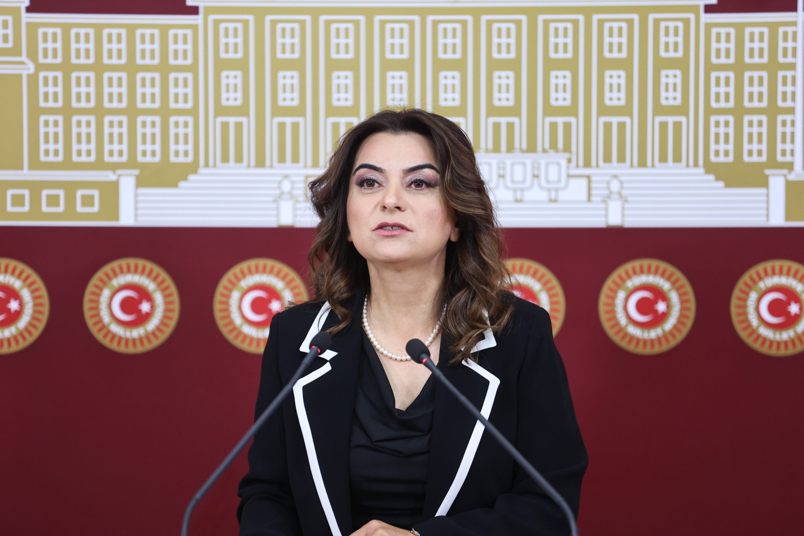 DEM Parti Grup Başkanvekili Koçyiğit: "Cinsiyet uyum süreçlerine dair hormon tedavilerine erişim güvence altına alınmalı" Kaos GL - LGBTİ+ Haber Portalı