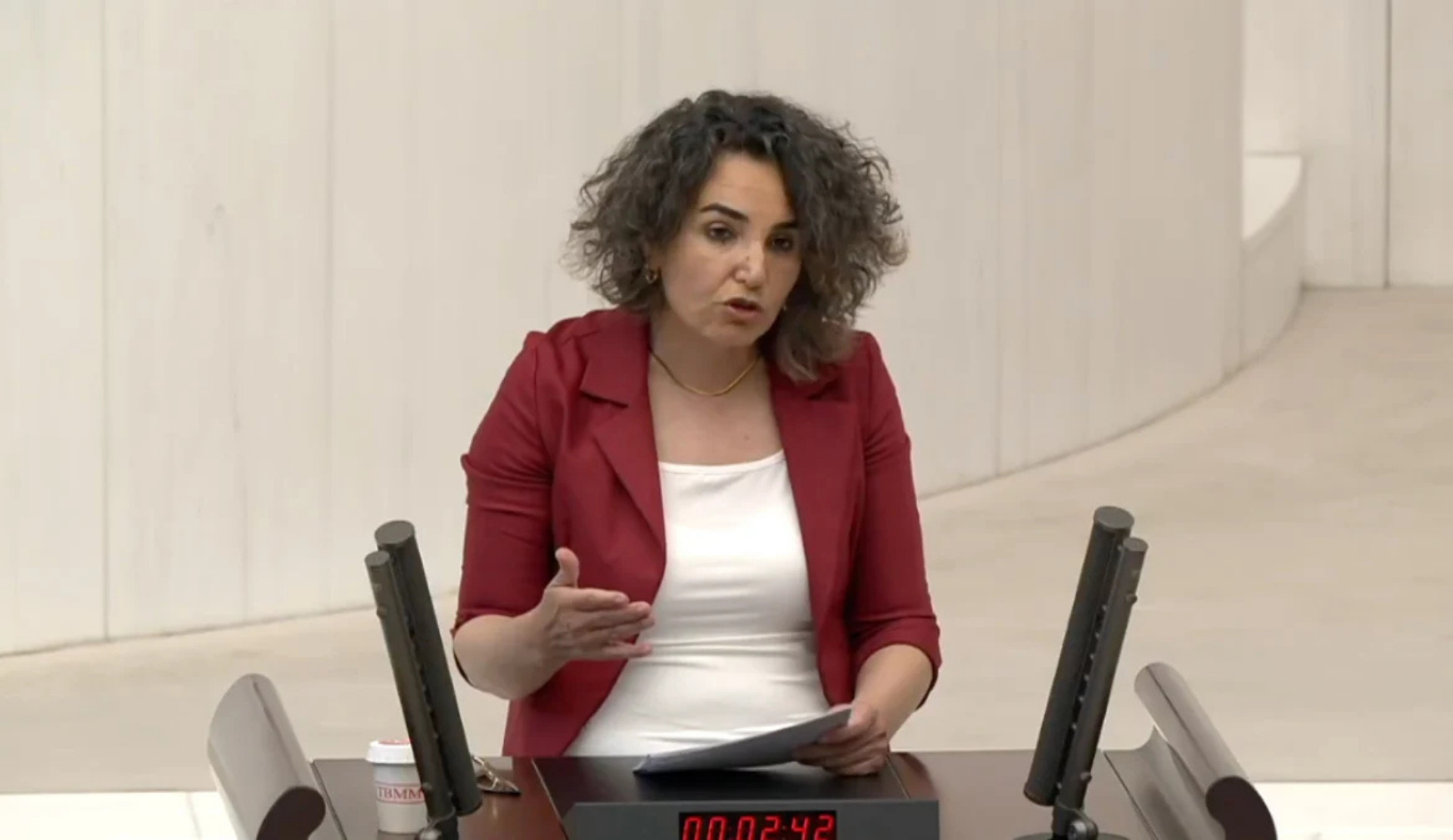 DEM Parti Milletvekili Çiçek Otlu hormona erişim ve kürtaj haklarını savunduğu için hedef gösterildi | Kaos GL - LGBTİ+ Haber Portalı Haber