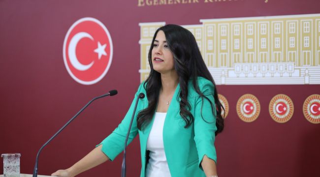 DEM Parti Milletvekili Dilan Kunt Ayan: “Nefreti körükleyen yasayı kabul etmeyeceğiz” | Kaos GL - LGBTİ+ Haber Portalı Haber