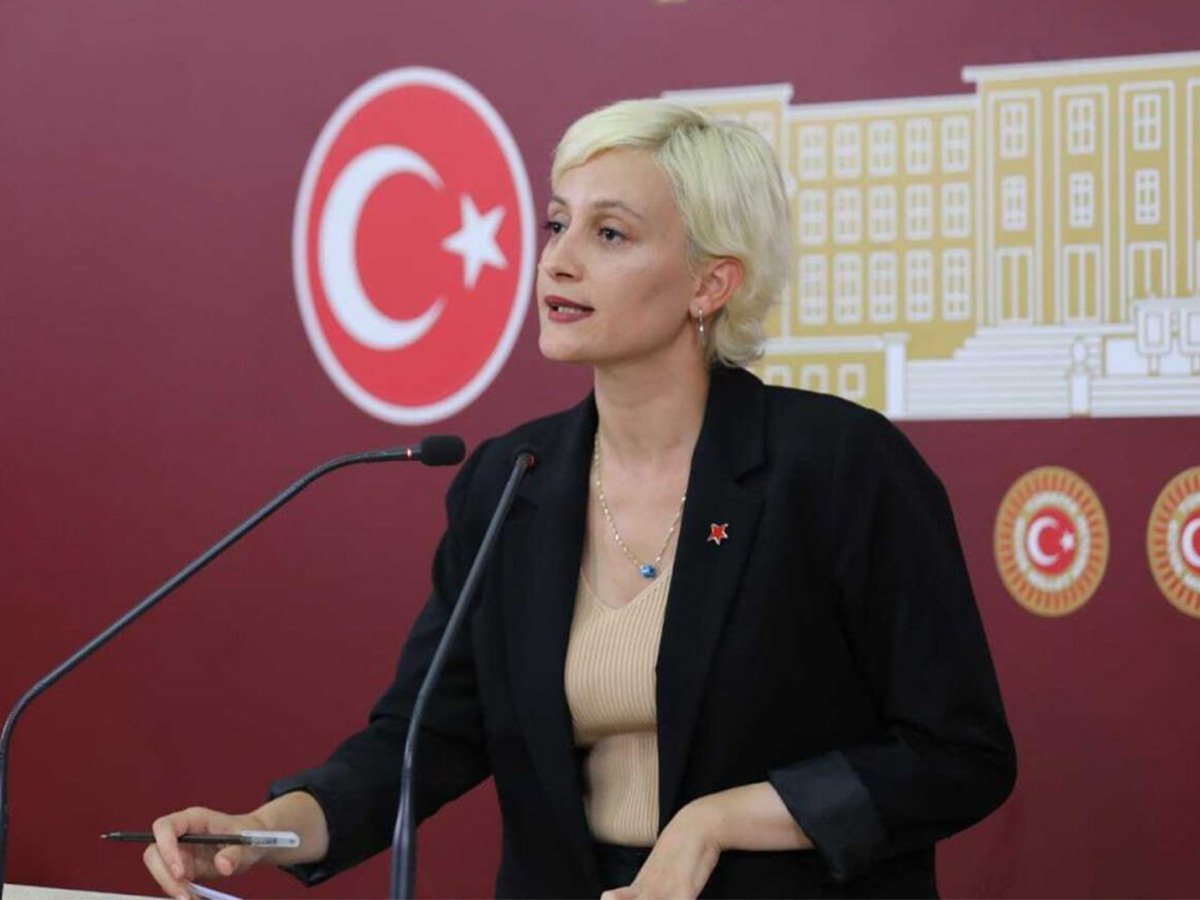 DEM Parti Milletvekili Perihan Koca’dan sansüre tepki: “Toplumu dizayn etme çabası beyhudedir” Kaos GL - LGBTİ+ Haber Portalı