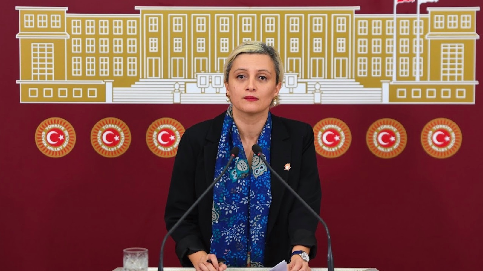 DEM Partili Koca’dan Poyraz için soru önergesi: "Poyraz’ın ölümü için etkin bir soruşturma yürütülmesi kamuoyunun ortak beklentisidir" Kaos GL - LGBTİ+ Haber Portalı