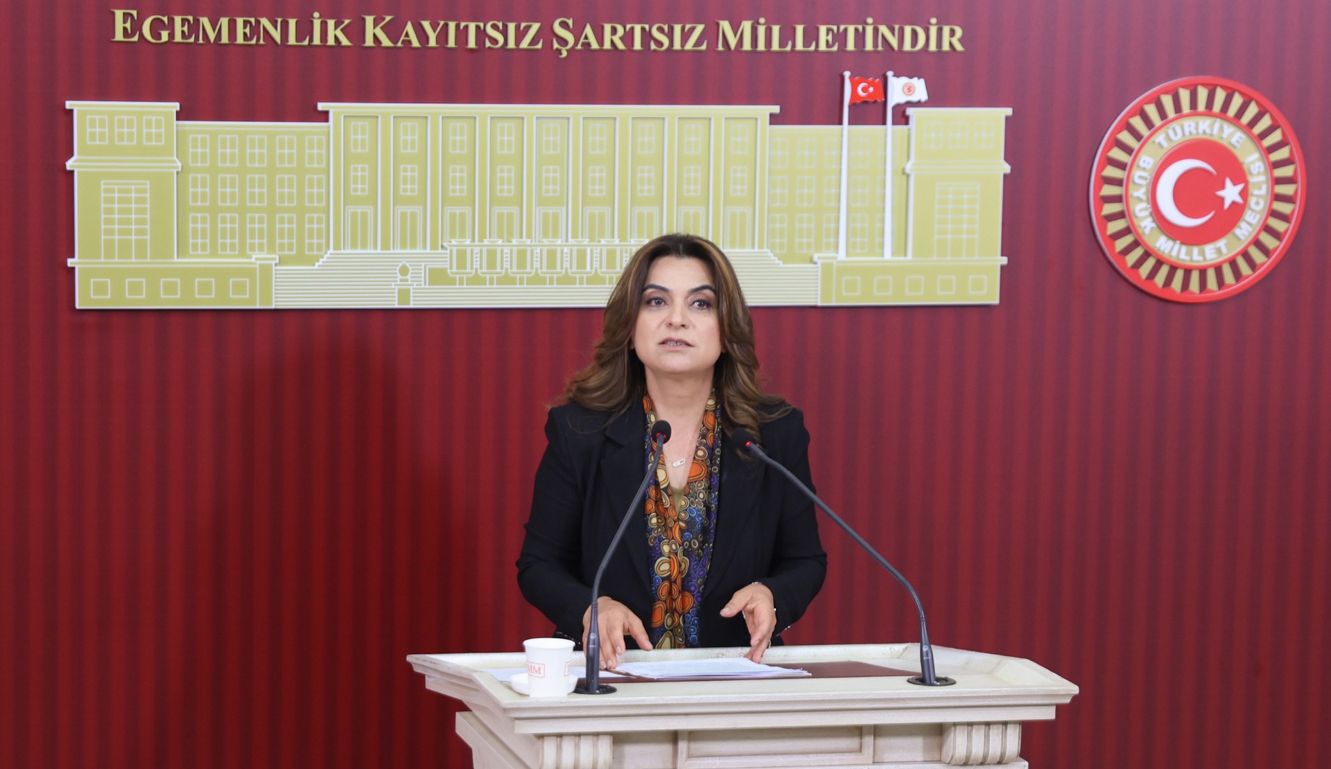DEM Partili Koçyiğit'ten Sincan Cezaevi önergesi: LGBTİ+ mahpuslara fiili tecrit ve ayrıştırma uygulanıyor Kaos GL - LGBTİ+ Haber Portalı