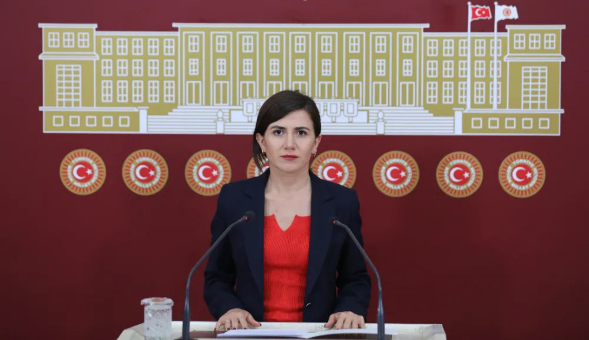 DEM Partili Sümeyye Boz’dan soru önergesi: Menopozda hormon replasman tedavisine erişim neden kısıtlı? | Kaos GL - LGBTİ+ Haber Portalı