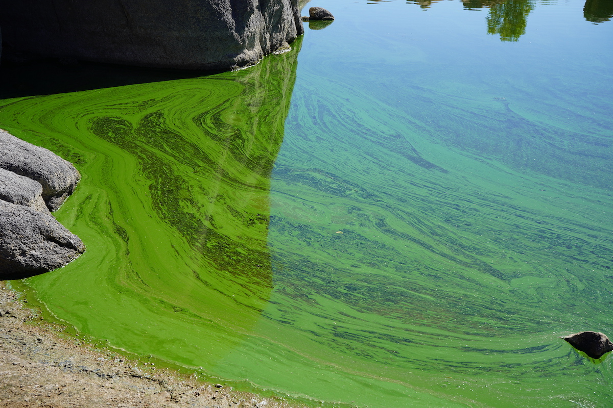 Dünya Kendisine Benim İçimden Bakıyor | Kaos GL - LGBTİ+ Haber Portalı Haber
