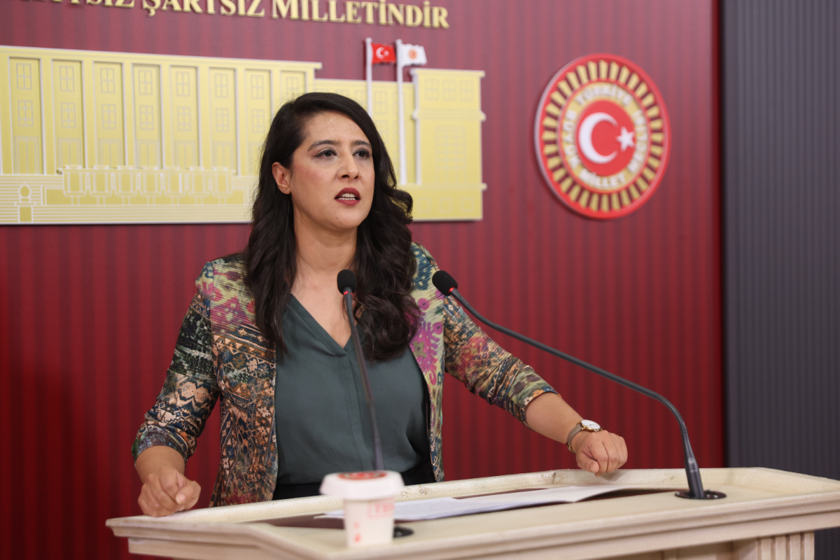 EMEP Milletvekili Karaca’dan Zoe Lila için Bakan Tekin’e soru önergesi: Lila’nın iş sözleşmesinin yenilenmemesinde bakanlığın talimatı var mı? Kaos GL - LGBTİ+ Haber Portalı