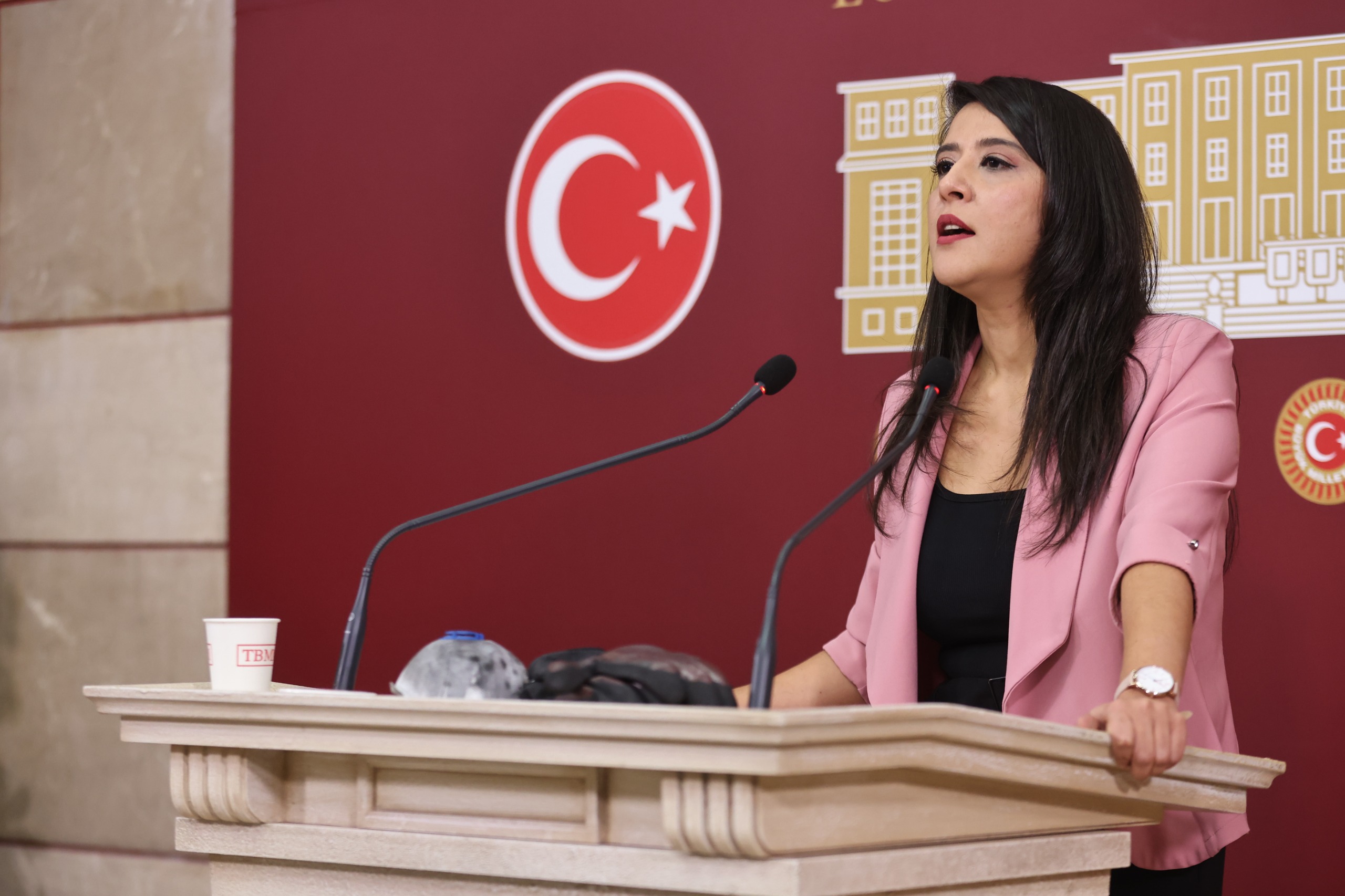 EMEP Milletvekili Karaca, Metris Cezaevi'ndeki gey ve trans mahpuslara yönelik ihlalleri Meclis'e taşıdı | Kaos GL - LGBTİ+ Haber Portalı