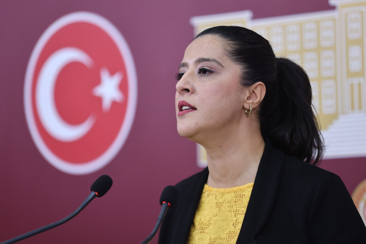 EMEP Milletvekili Sevda Karaca: "Nafaka hakkından vazgeçmiyoruz" | Kaos GL - LGBTİ+ Haber Portalı