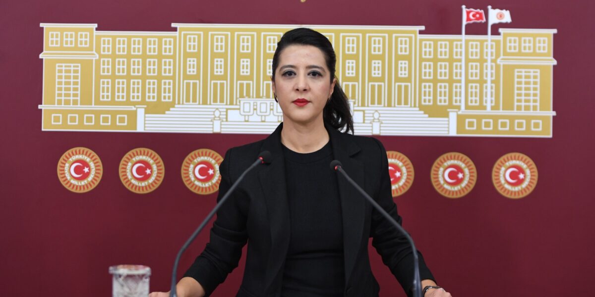 EMEP Milletvekili Sevda Karaca’dan Enes Hocaoğulları’nın tutuklanmasına dair soru önergesi  | Kaos GL - LGBTİ+ Haber Portalı Haber