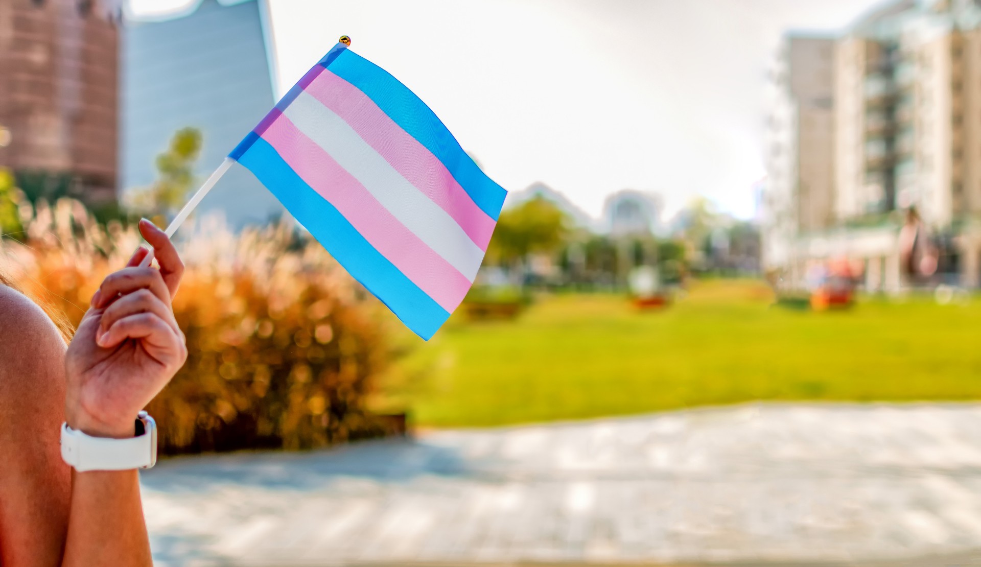 EPATH issues international call: “We stand in solidarity with trans people in Türkiye” | Kaos GL - News Portal for LGBTI+