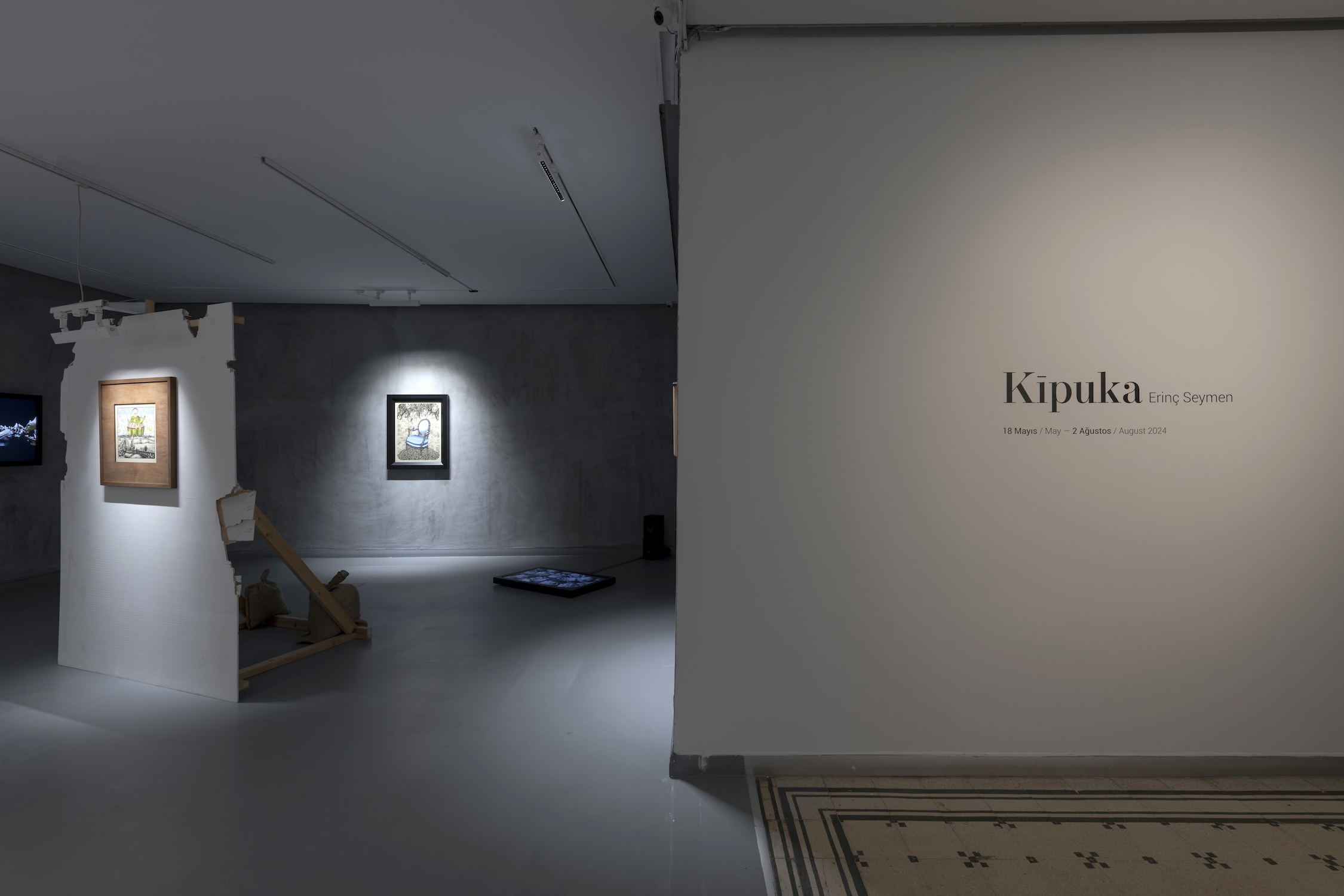 Erinç Seymen’s solo exhibition titled Kīpuka at Zilberman! | Kaos GL - News Portal for LGBTI+ News