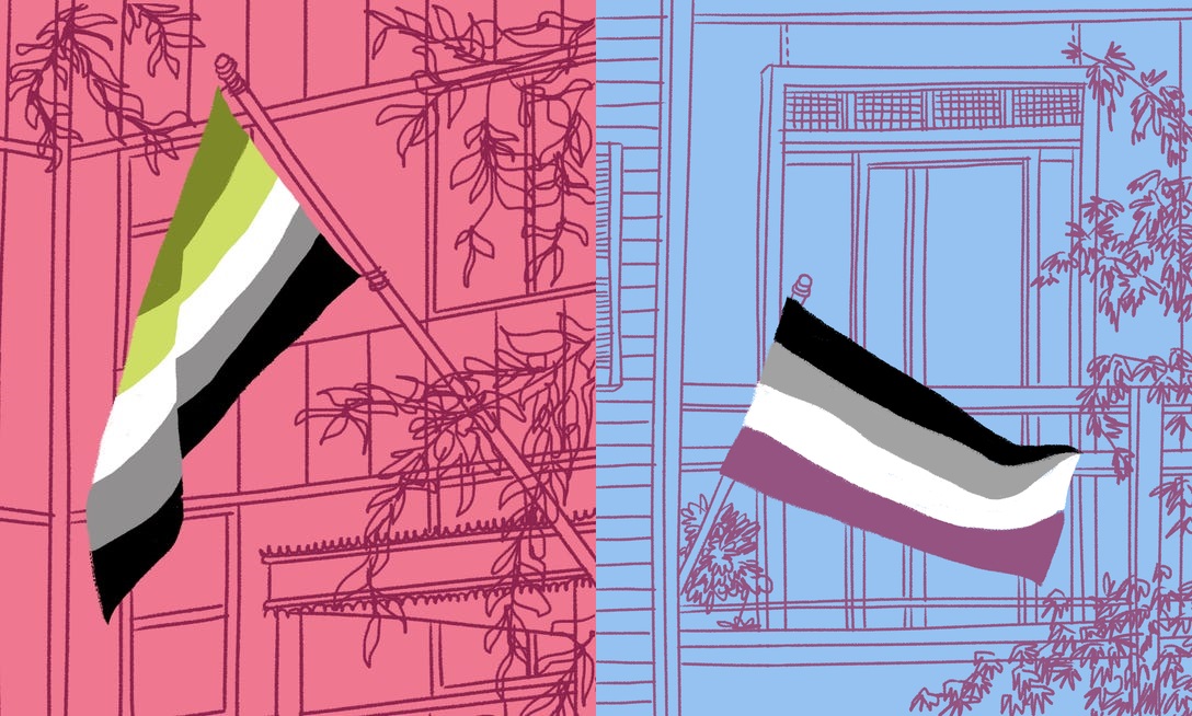 Günün menüsü: Aşknormativite ve Seksnormativite | Kaos GL - LGBTİ+ Haber Portalı Haber