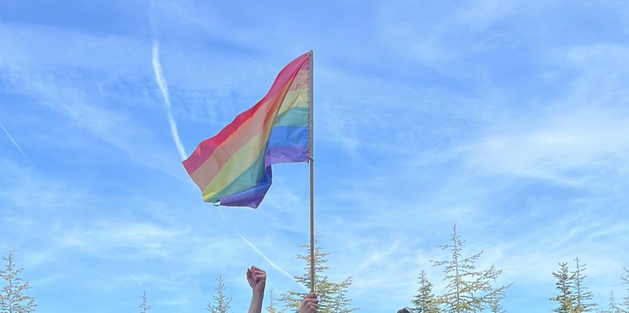Hacettepe’de "Aile Yılı" protestosuna katılan öğrencilere 2 yıla varan uzaklaştırma cezaları Kaos GL - LGBTİ+ Haber Portalı