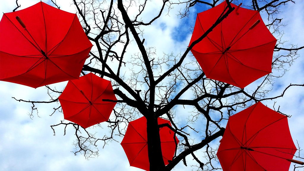 “Herkes gibi seks işçileri de kendi kaderlerini tayin edebilmeli” | Kaos GL - LGBTİ+ Haber Portalı Haber