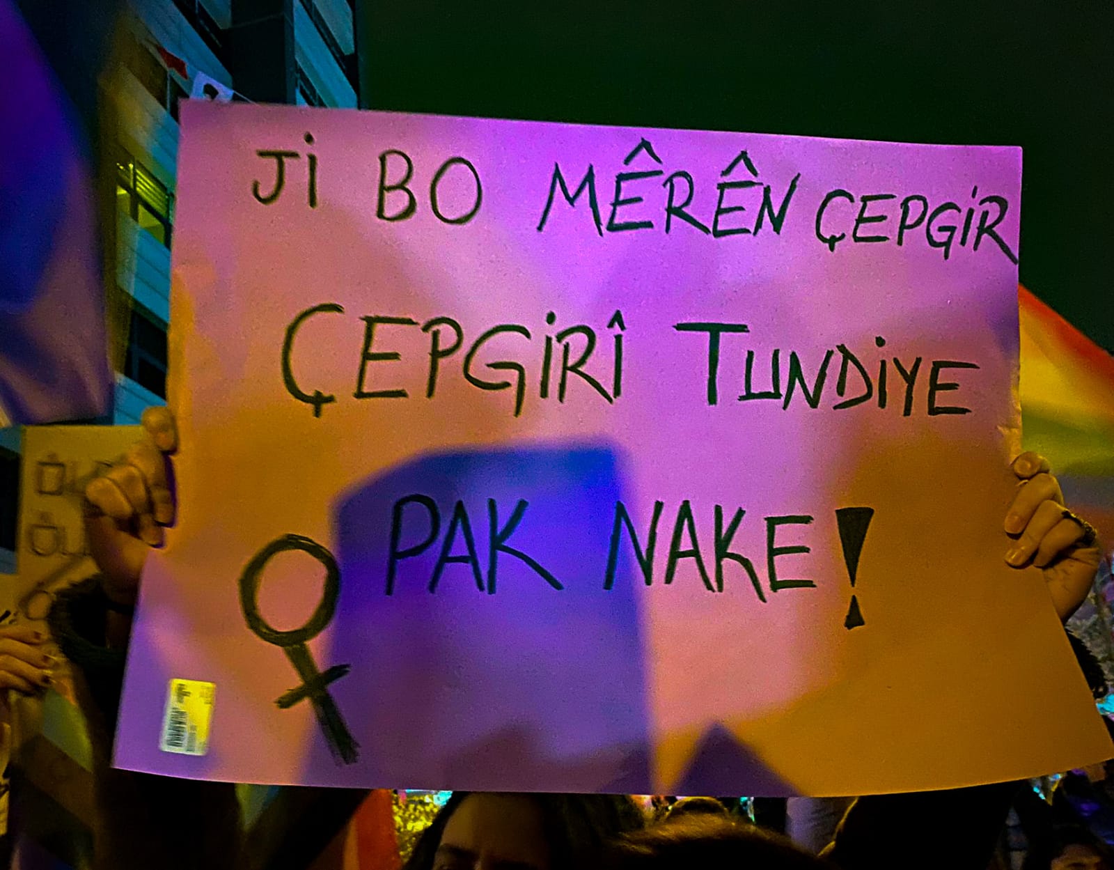 ankara-da-25-kasim-lgbti-larin-sesi-sloganlari-alanda-18