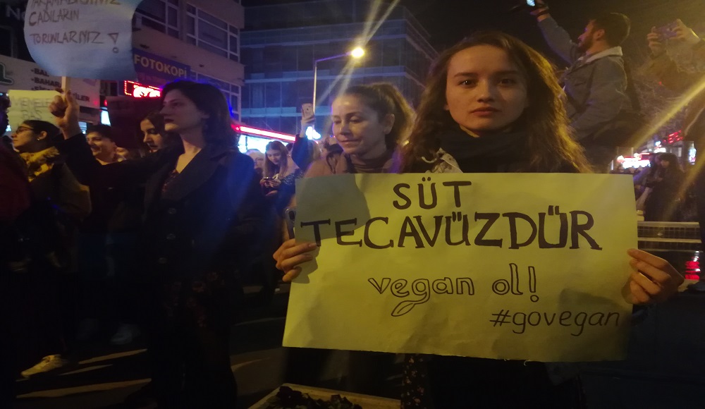 ankara-feminist-gece-yuruyusu-nden-kareler-10 ankara-feminist-gece-yuruyusu-nden-kareler-10