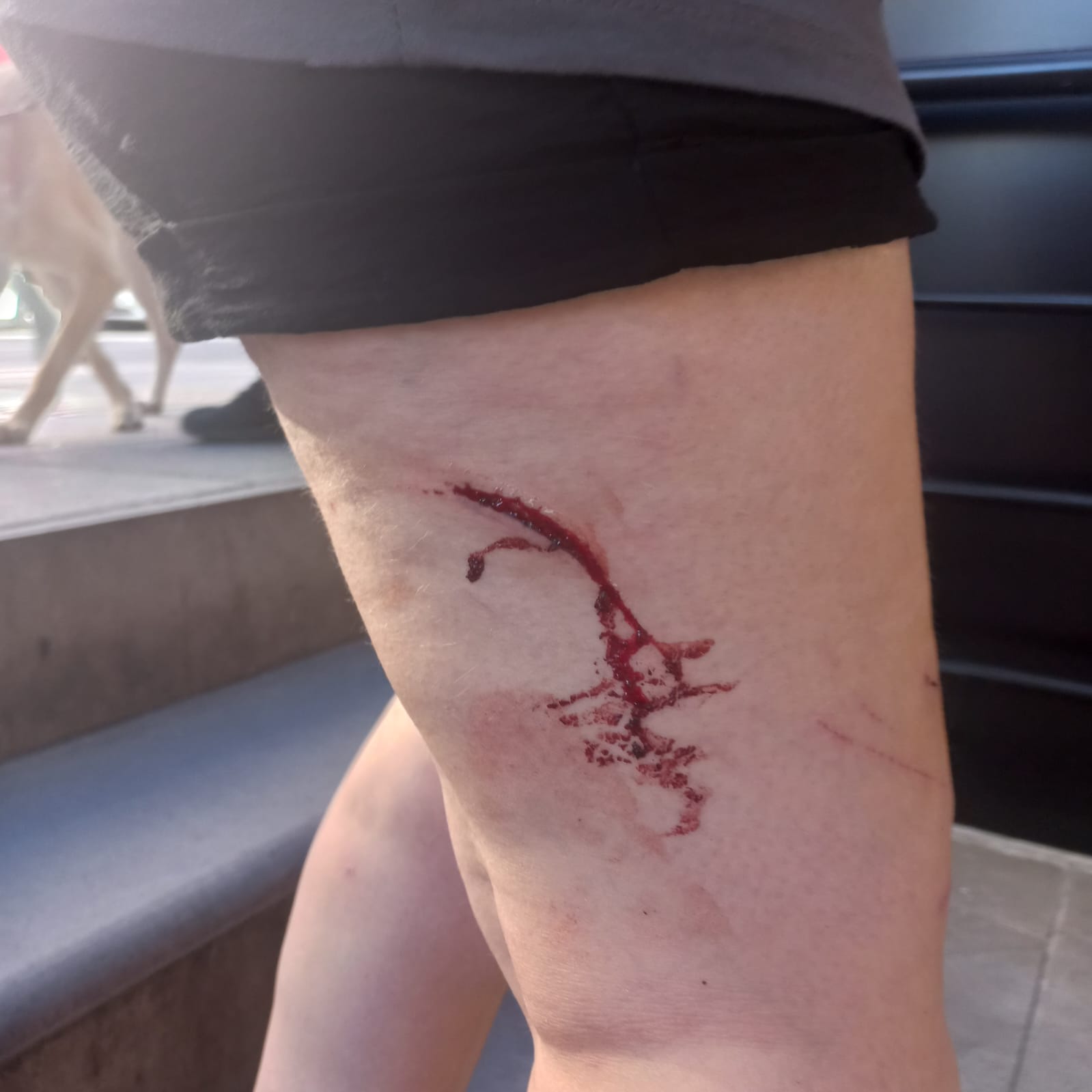 ankara-onur-yuruyusu-nden-polis-siddeti-goruntuleri-1 ankara-onur-yuruyusu-nden-polis-siddeti-goruntuleri-1