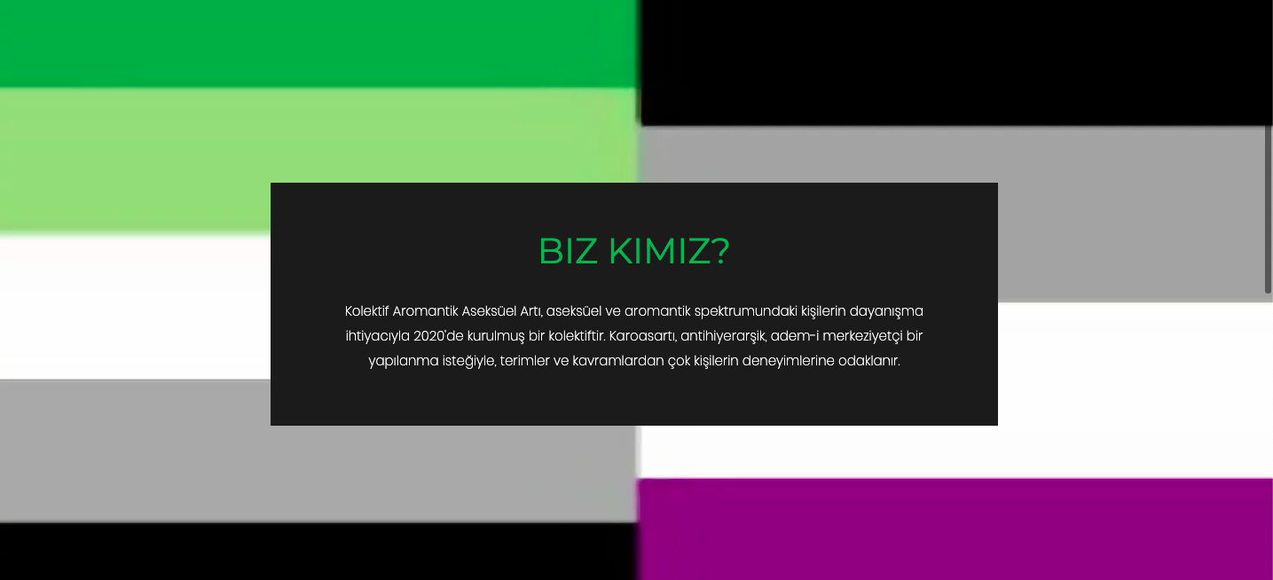 asksiz-sekssiz-bir-queer-aktivizm-de-mumkun-karoasarti-2 asksiz-sekssiz-bir-queer-aktivizm-de-mumkun-karoasarti-2