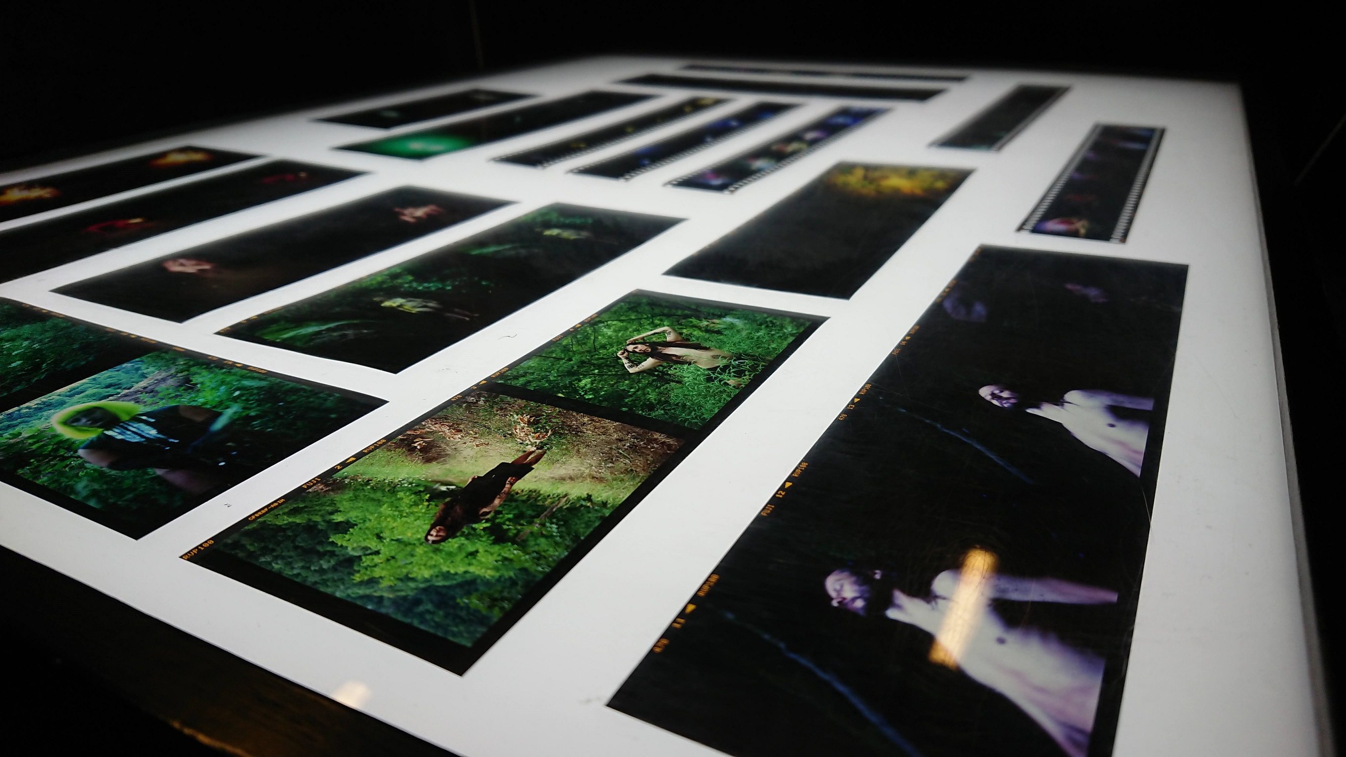 butun-utopya-dayanisma-tapa-nin-tabiatimiz-sergisi-acildi-3