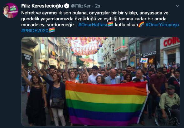 chp-ve-hdp-den-milletvekilleri-onur-haftasi-ni-kutladi-4