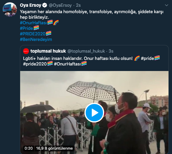 chp-ve-hdp-den-milletvekilleri-onur-haftasi-ni-kutladi-5