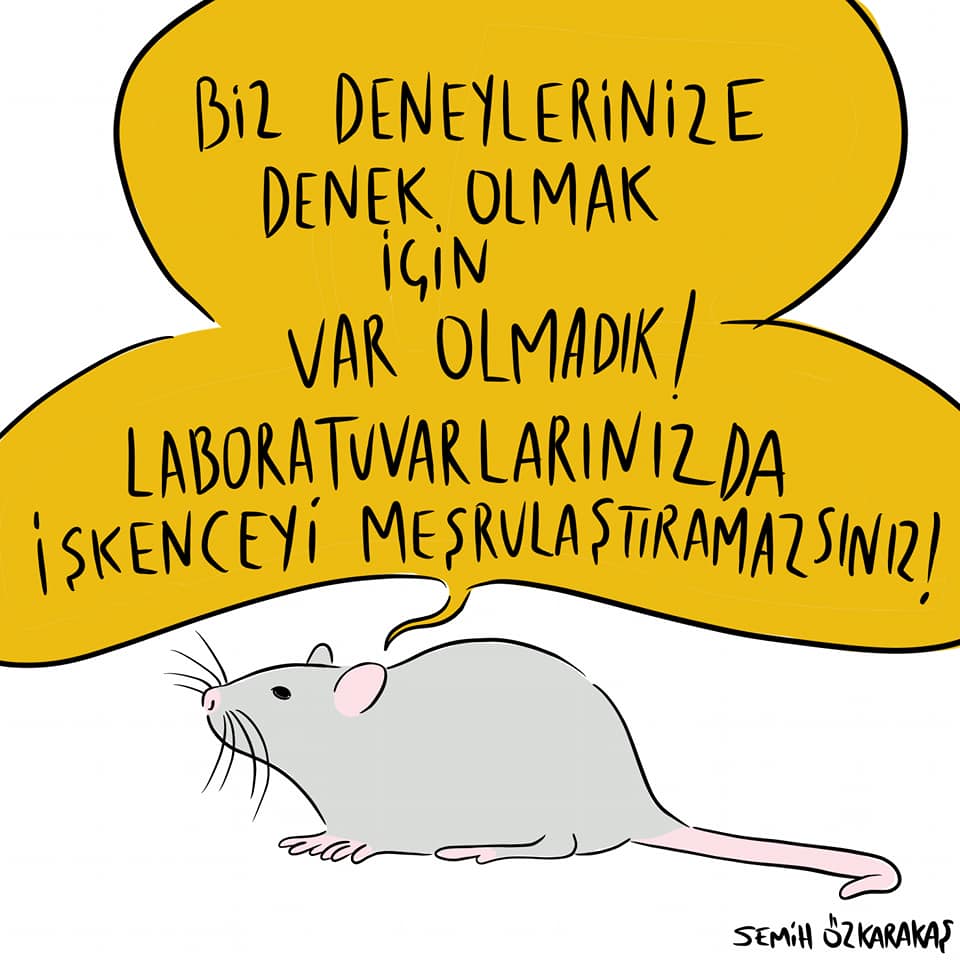 cizgilerle-korona-gunlugu-3-7