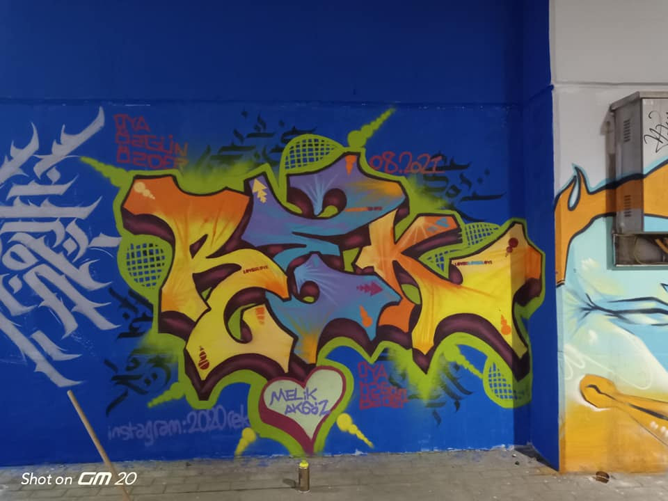 grafiti-sanatcilari-asti-duvarlarini-susledi-1