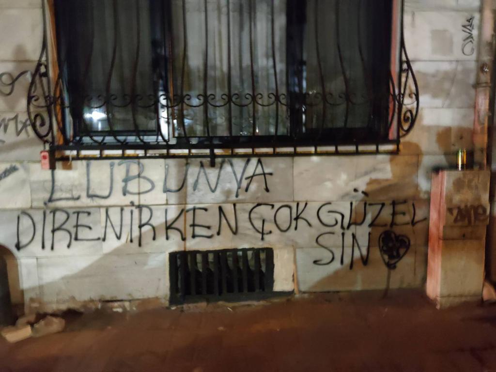 polis-ablukasindaki-beyoglu-nun-duvarlari-konusuyor-lubunya-direnirken-cok-guzelsin-12