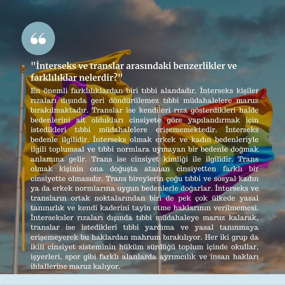 sor-canim-interseks-ve-translar-arasindaki-benzerlikler-ve-farkliliklar-nelerdir-1