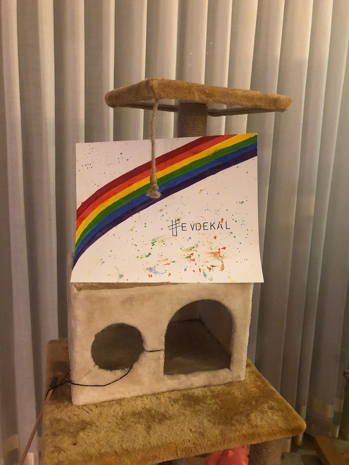 spod-dan-gokkusagi-cagrisi-6