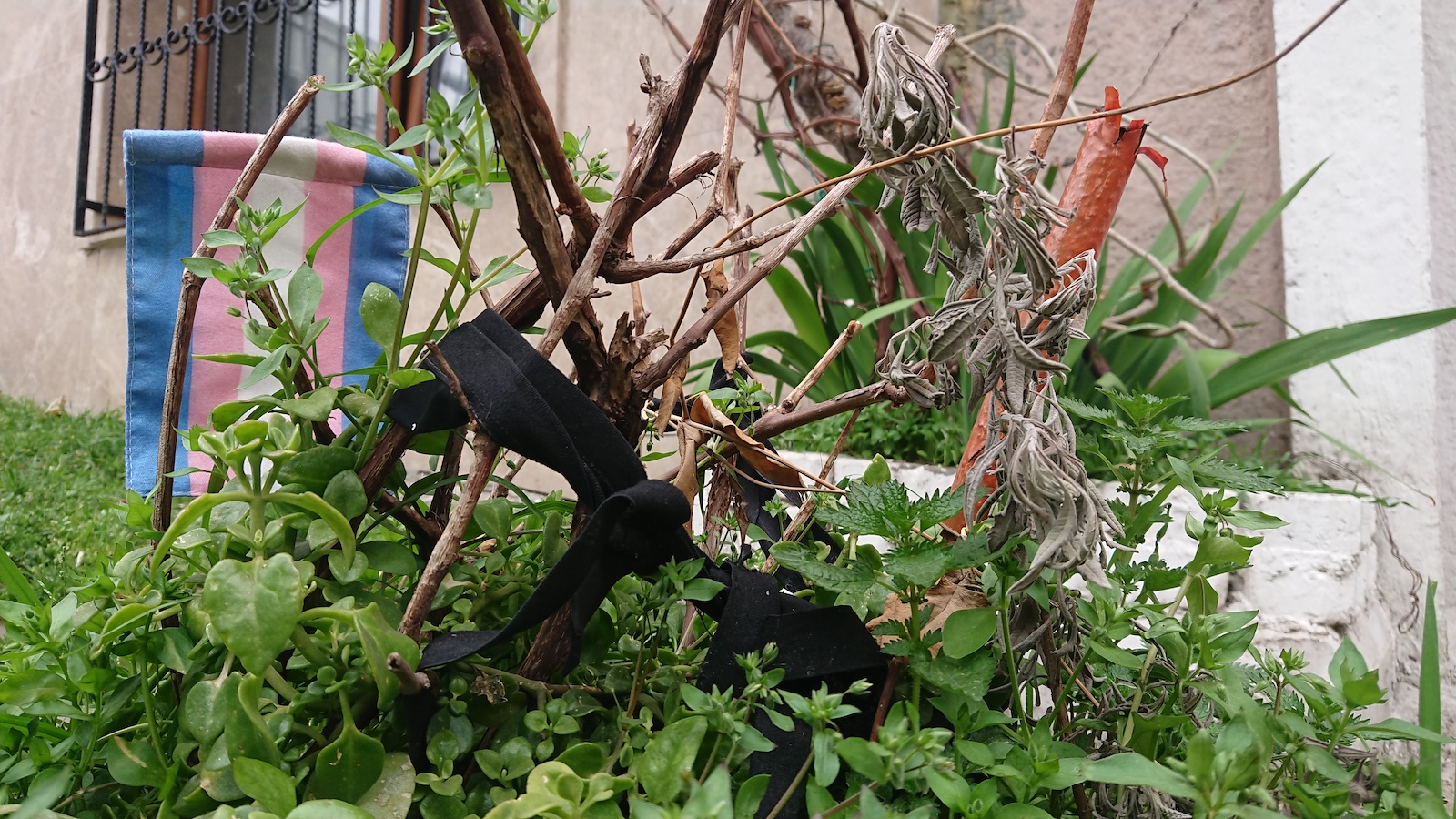 trans-gorunurluk-gunu-nde-purtelas-ve-ulker-sokak-yuruyusu-2