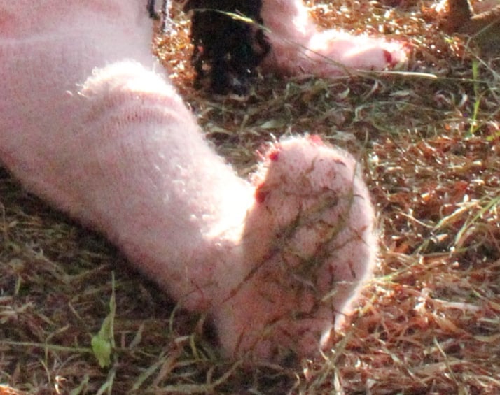 ugemfo-nun-your-trans-doll-serisi-5