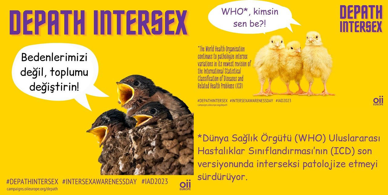 İnter Dayanışma: Bedenlerimizi değil, toplumu değiştirin! Kaos GL - LGBTİ+ Haber Portalı