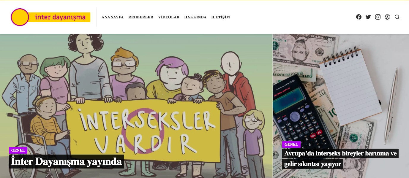 Intersex activists united under the umbrella of “Inter Dayanışma” Kaos GL - News Portal for LGBTI+
