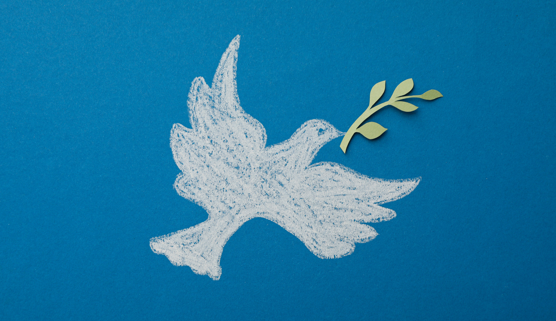 Joint statement on Iran from LGBTI+ associations: "No to the imperialist war of US and Israel!" | Kaos GL - News Portal for LGBTI+