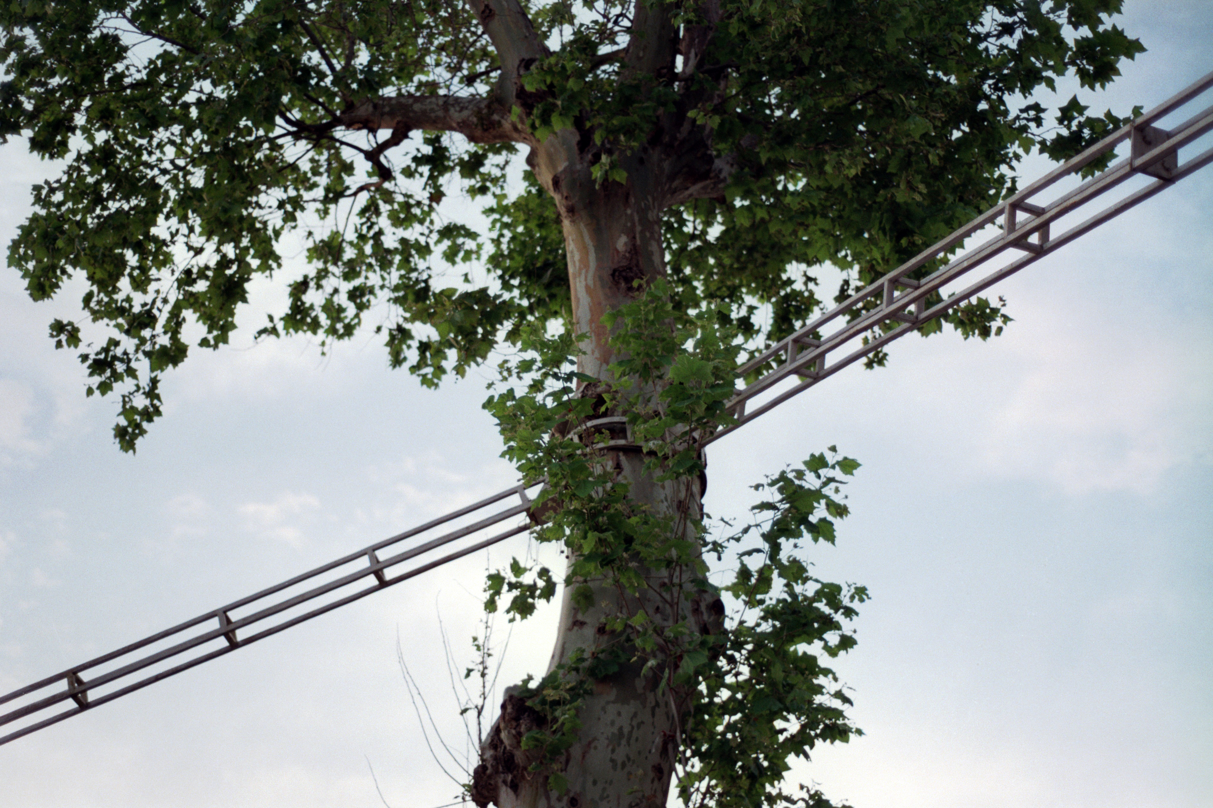 Kadın Kadına Öykü Yarışması için son başvuru 1 Nisan’da! | Kaos GL - LGBTİ+ Haber Portalı Haber